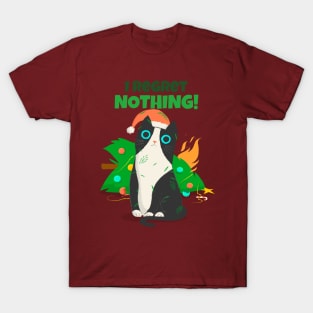 I Regret Nothing / Christmas cat / Cat T-Shirt